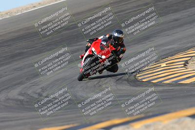 media/Mar-09-2024-SoCal Trackdays (Sat) [[bef1deb9bf]]/1-Bowl Exit (940am)/